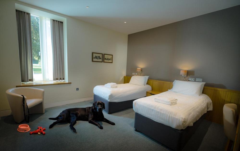 Hotel Northgate House Buckfastleigh Exteriér fotografie
